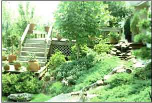 landscaping ideas for steep hillside